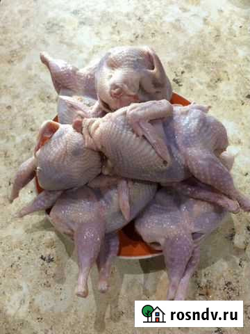 Мясо перепела Тверь - изображение 1