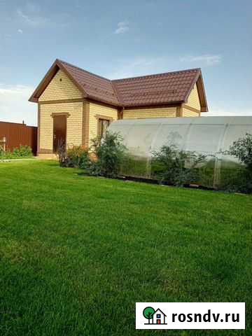 Профессиональное устройство газона Саранск - изображение 1