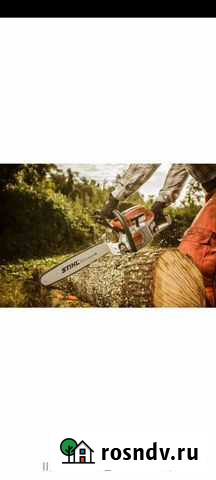 Распил деревьев. кустарник Калининград - изображение 1