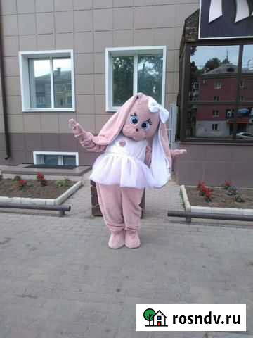 Поздравление ростовыми куклами Благовещенск - изображение 1