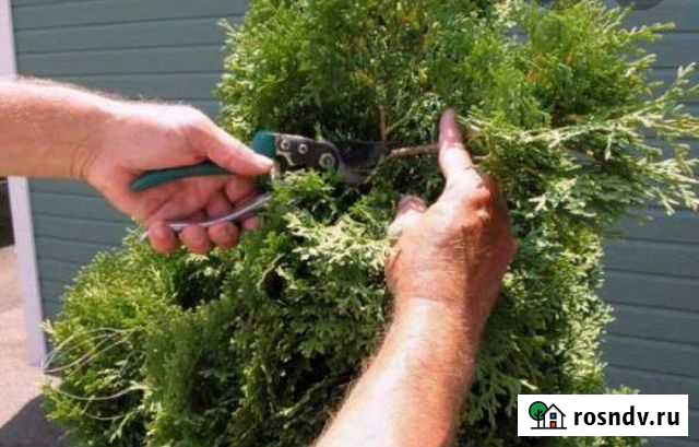 Садовник Смоленск - изображение 1