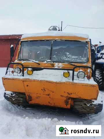 Снегоболтоход Норильск - изображение 1