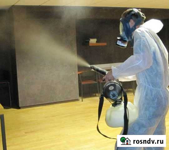 Дезинсекция, Обработка от тараканов и клопов Набережные Челны - изображение 1