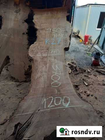 Слэб карагача Долгопрудный - изображение 1