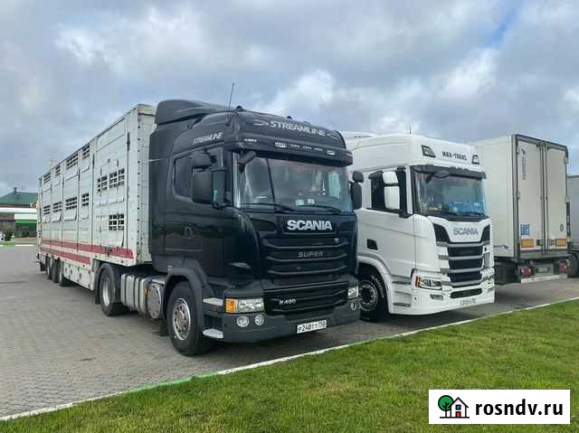 Грузоперевозки Фура тент 20 тонн Череповец - изображение 1