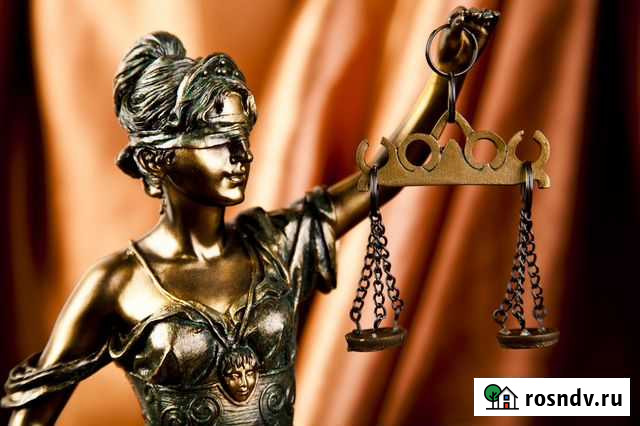 Услуги юриста Нижний Новгород - изображение 1