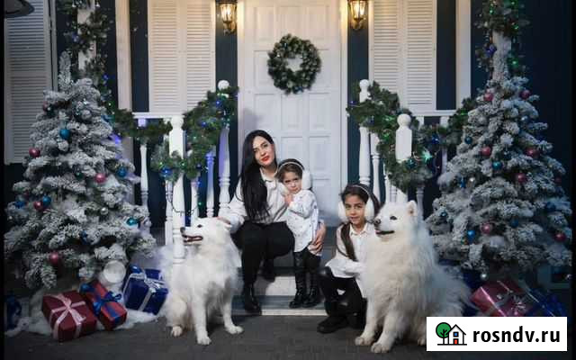 Белые Пушистики для Ваших Фотосессий Краснодар - изображение 1