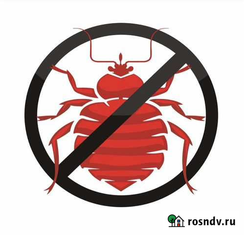 Дезинфекция, уничтожение клопов, тараканов Тверь - изображение 1