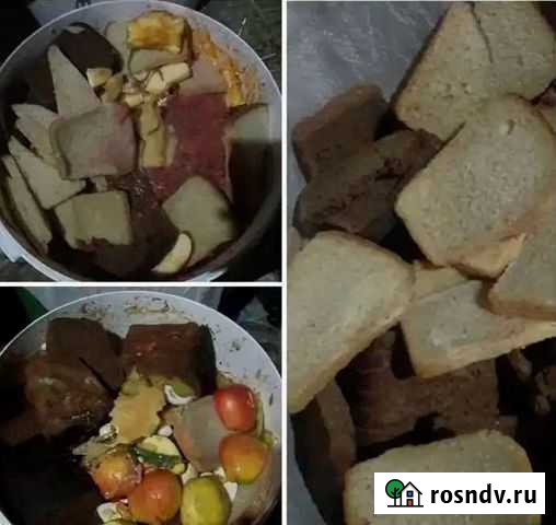 Утилизация продуктов питания Копейск - изображение 1