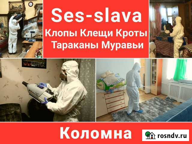 Уничтожение клопов, тараканов, мышей, насекомых Коломна - изображение 1
