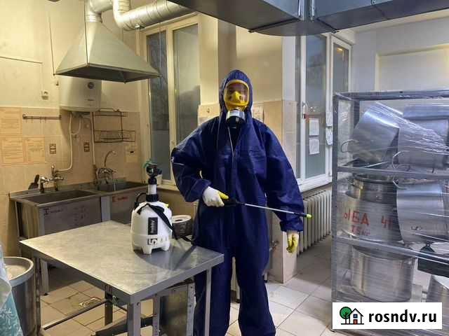 Уничтожение клопов и тараканов Сертолово - изображение 1