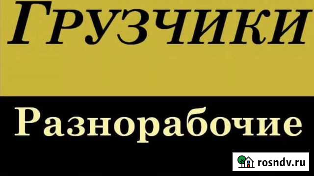 Грузоперевозки Новосибирск - изображение 1