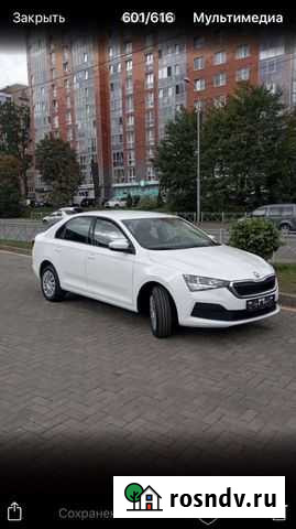 Трезвый водитель Калининград - изображение 1