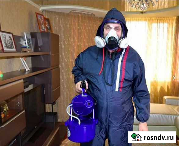 Уничтожение клопов, тараканов, клещей, насекомых Обнинск - изображение 1