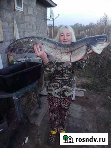 Рыбалка и охота в Астрахани в дельте Волги Икряное - изображение 1