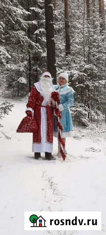 Дед мороз и снегурочка на дом Ревда - изображение 1