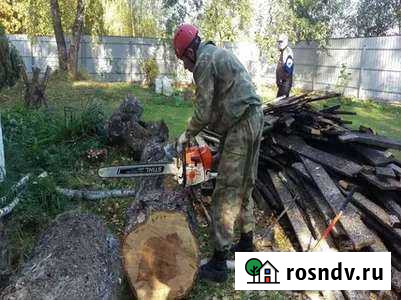 Спил деревьев, расчистка участков, демонтаж Чернянка - изображение 1