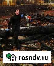 Спил деревьев Профессионалы Шебекино - изображение 1