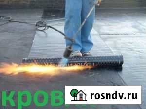 Кровельные работы.бикрост Заринск - изображение 1