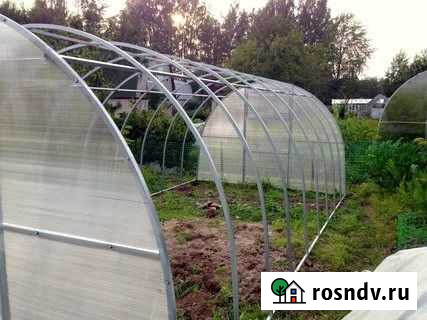Теплица Менделеевск - изображение 1