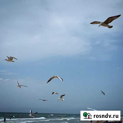 Создание клипов Сыктывкар - изображение 1