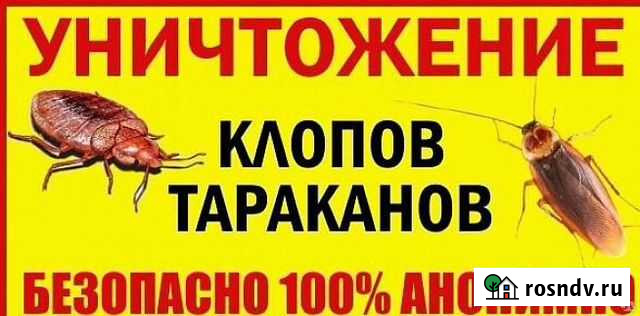 Дезинфекция, дезинсекция, уничтожение тараканов, к Чебоксары - изображение 1