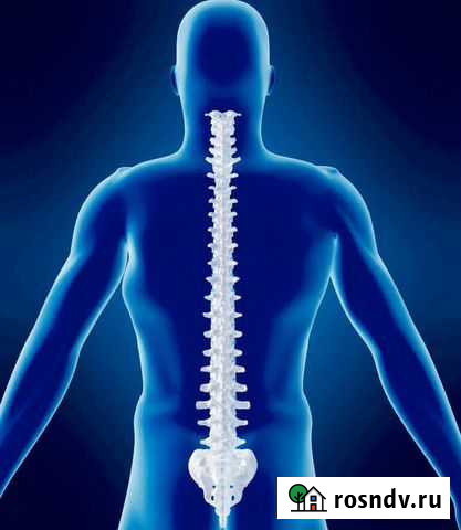 Костоправ. Тренажёр Правило. Оздоровление Сочи - изображение 1