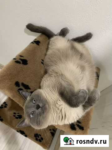 Передержка животных Алкино-2 - изображение 1