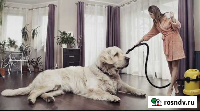 Генеральная уборка, помощь по хозяйству Петропавловск-Камчатский - изображение 1