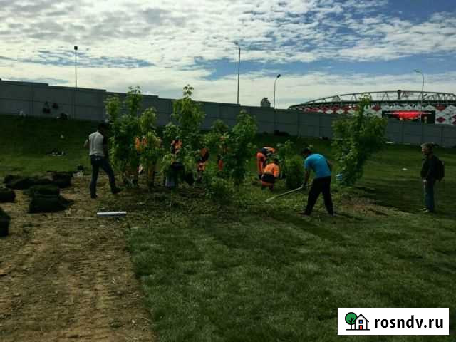 Разнорабочие Тверь - изображение 1