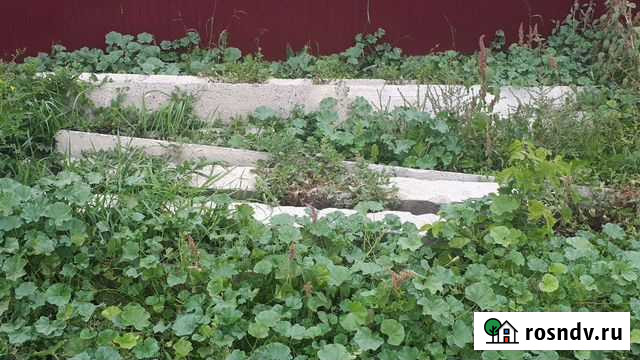 Ж/б приставки (пасынки) Камень-на-Оби - изображение 1