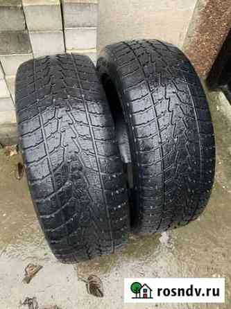 Toyo Winter Tranpath S1 225/55 R18 2шт Джанкой