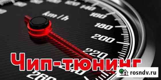 Чип тюнинг, прошивка евро-2 Черногорск