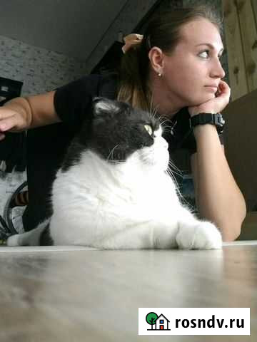 Репетитор по математике Калининград - изображение 1