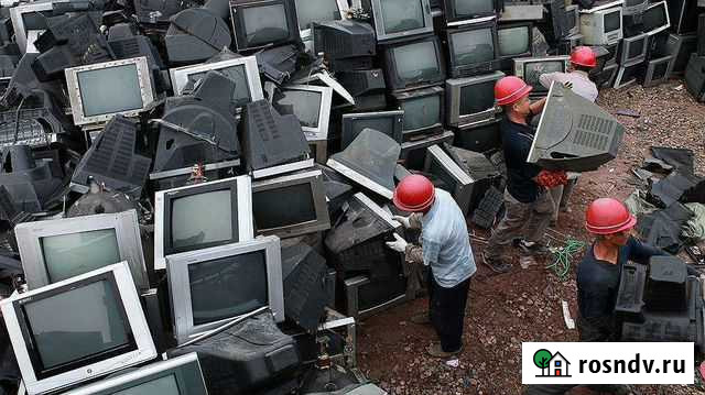 Утилизация мусора Воронеж - изображение 1