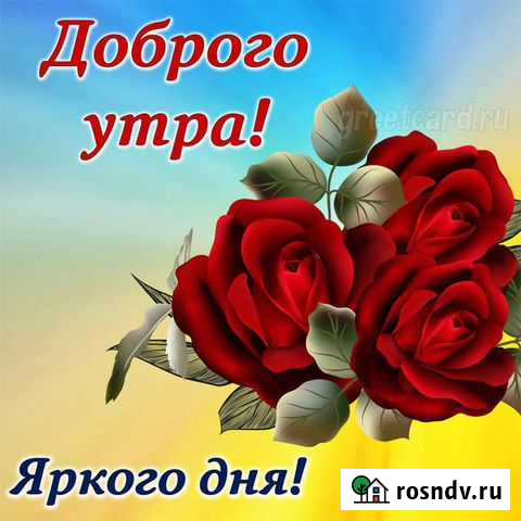 Уборка квартир, офисов, домов Иркутск - изображение 1