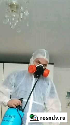 Уничтожение клопов тараканов блох обработка Санкт-Петербург - изображение 1