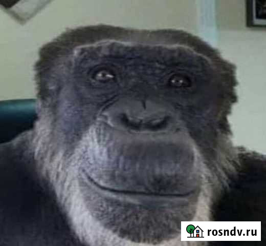 Услуги по Компьютерам и OC Волхов - изображение 1