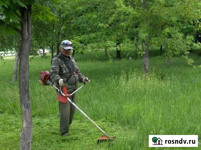 Покос травы и росчистка земельных участков Майкоп - изображение 1