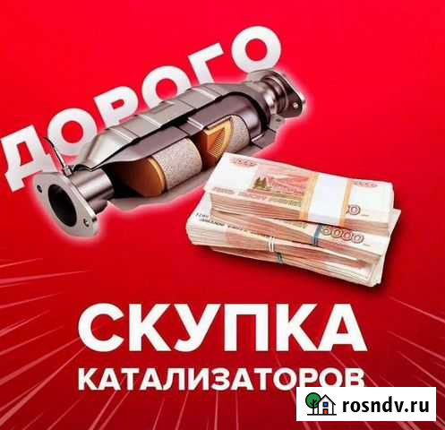 Прием Катализаторов/Скупка/Удаления Санкт-Петербург - изображение 1
