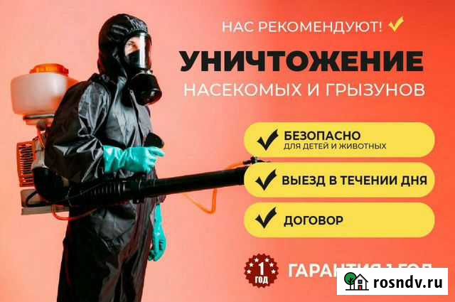 Уборка, дезинсекция Тольятти - изображение 1