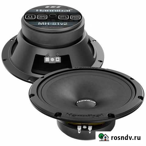 Alphard MH-81 v2 Владимир - изображение 1