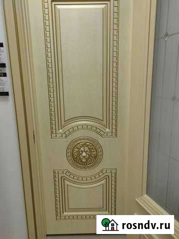 Дверь Лео от Геоны Рязань - изображение 1