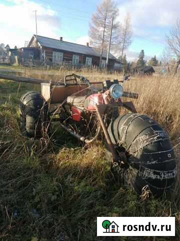 Шашига шишкотряс Пудож - изображение 1