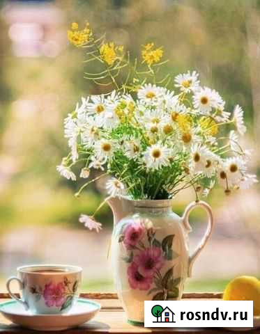 Сиделка с опытом работы и мед.обр Юбилейный - изображение 1