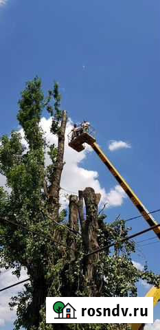 Спил деревьев, покос травы, очистка территорий от Грозный - изображение 1