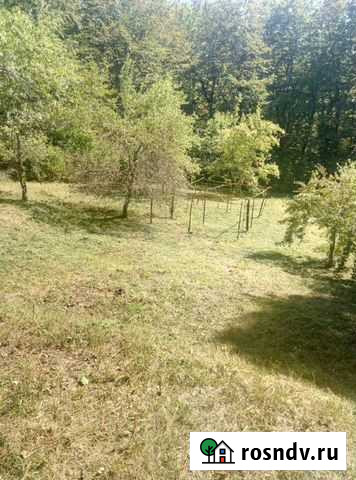 Покос травы, спил деревьев Геленджик - изображение 1