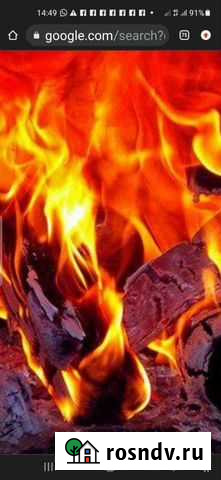 Дуб Волгоград - изображение 1