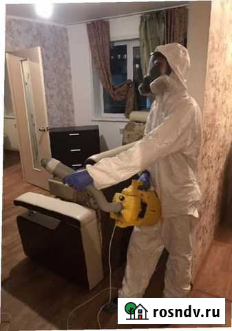 Уничтожение клопов, травить тараканов. Обработка Красноярск - изображение 1