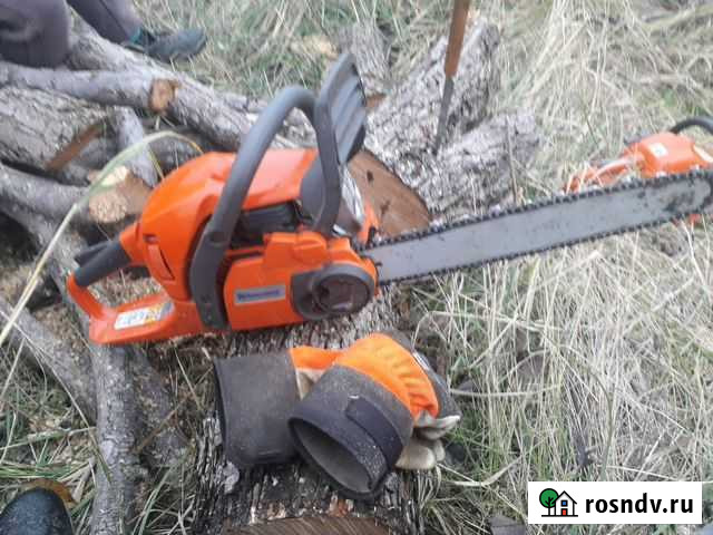 Спил деревьев Анапа - изображение 1